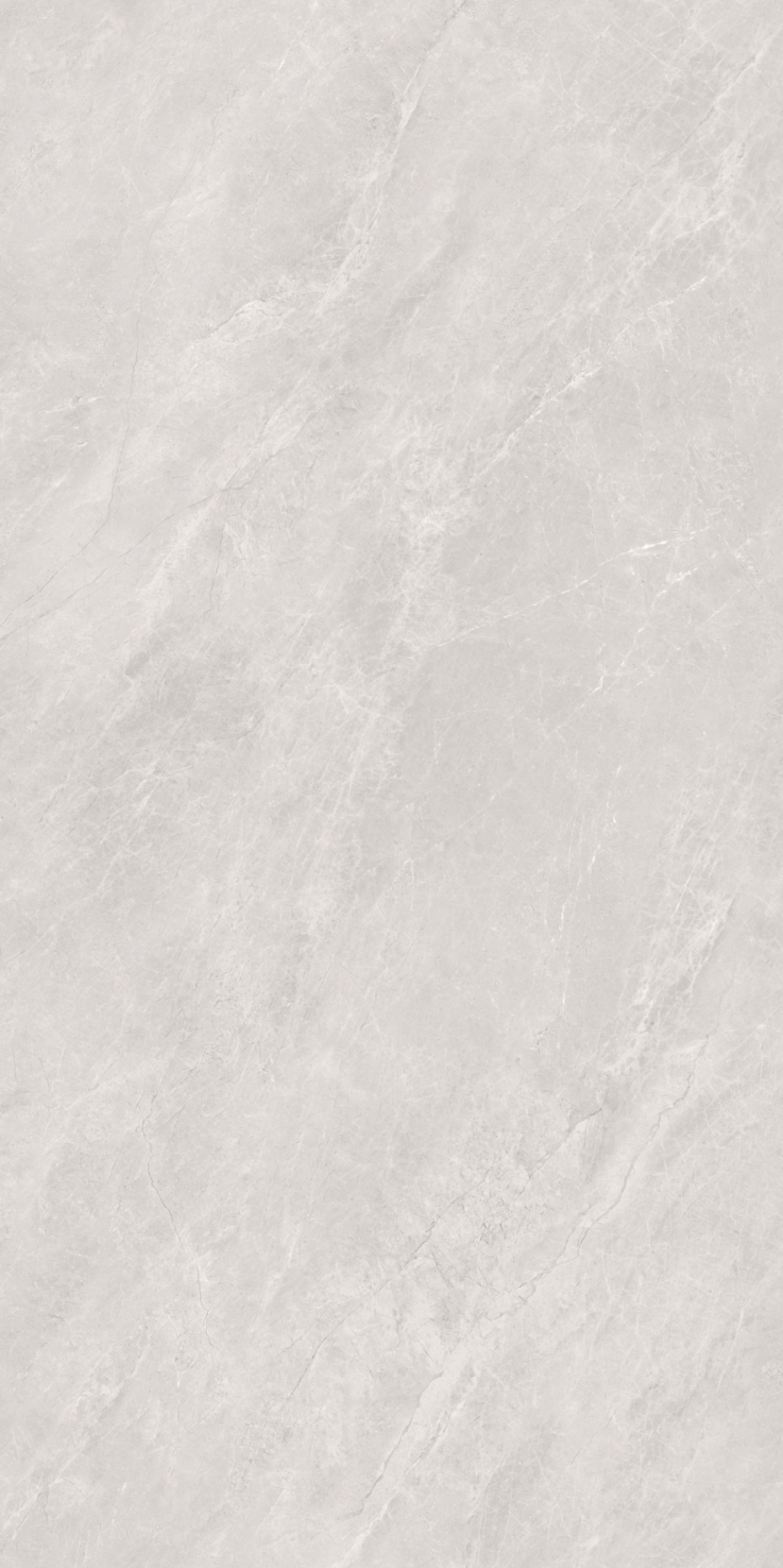 JST123506TAL 莫尼卡